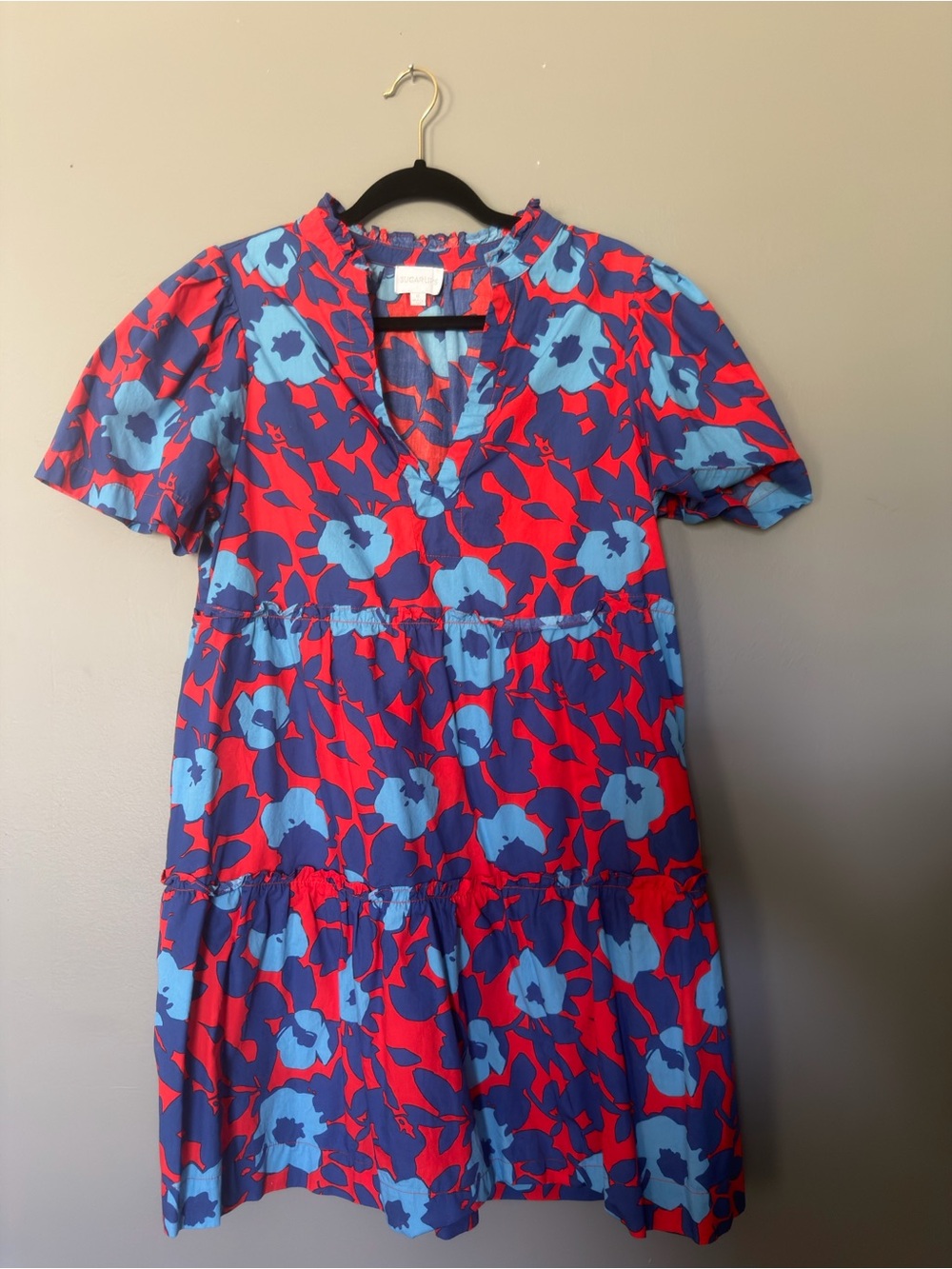 Sugarlips Red and Blue Floral Mini Dress